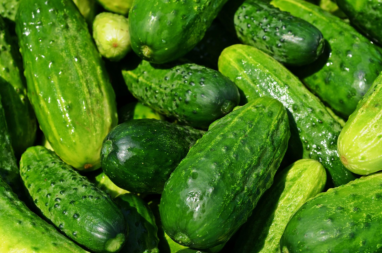 Yaz Aylarında Sağlıklı Beslenme İpuçları Yaz Aylarında Sağlıklı Beslenme İpuçları